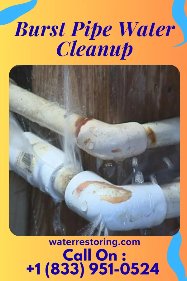 Burst Pipe Water Cleanup in Wilburton Number Two, PA